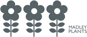 Madley Plants